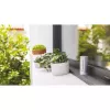 Netatmo NWS01-EC digitale Wetterstation Aluminium Batterie/USB Wi-Fi
