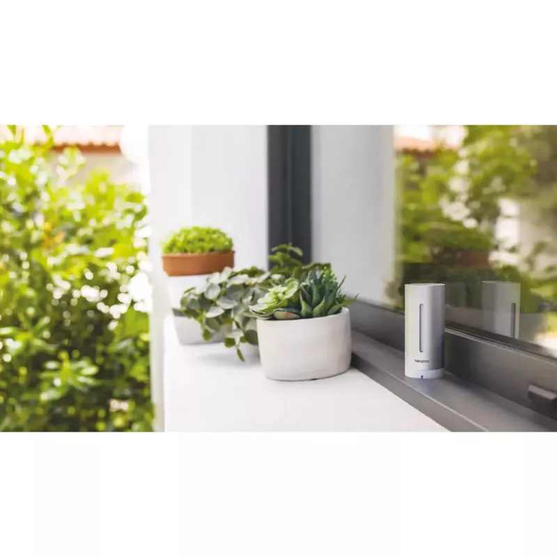 Netatmo NWS01-EC digitale Wetterstation Aluminium Batterie/USB Wi-Fi