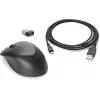 HP Wireless Premium Maus, beidhändig, Laser, RF Wireless, 1200 DPI, Schwarz