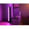 Philips Hue Weiß and colour ambience Play Lichtleisten-Doppelpack