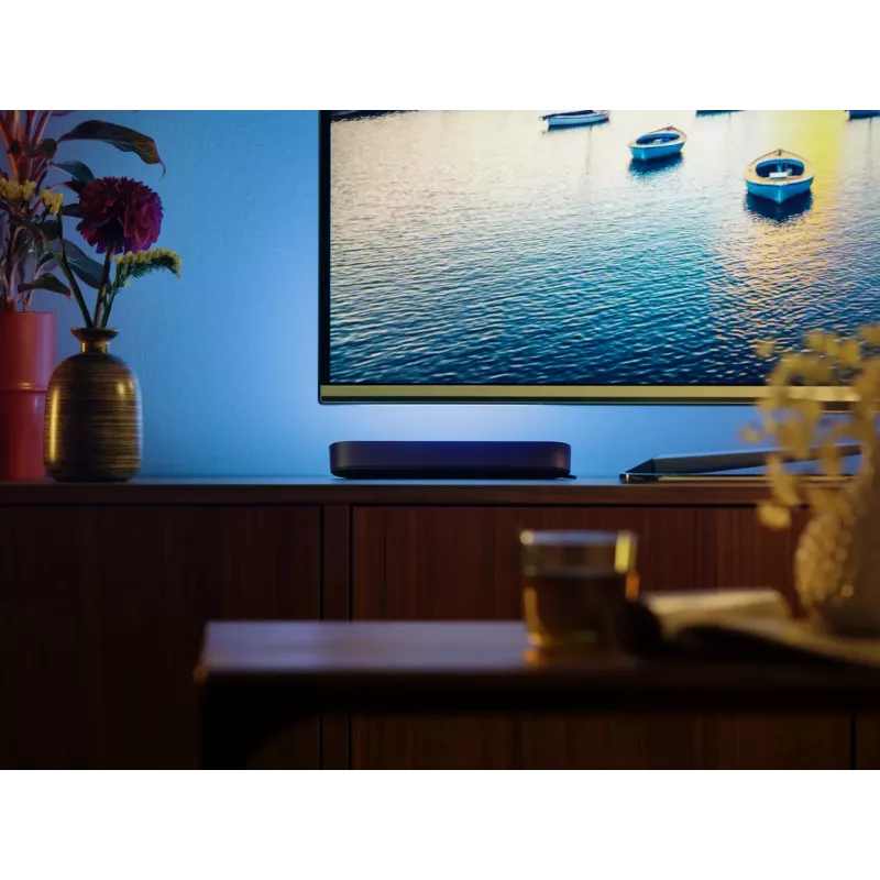 Philips Hue Weiß and colour ambience Play Lichtleisten-Doppelpack