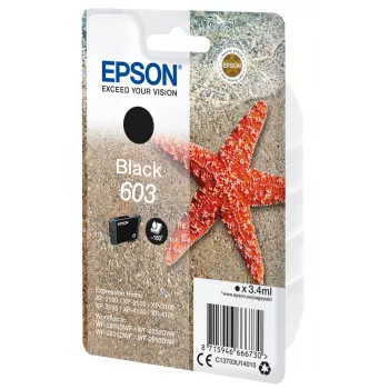 Epson C13T03U14010 Tintenpatrone 1 Stück Original Standardausbeute Schwarz