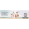 WESTERN DIGITAL SanDisk Ultra 32GB SDHC-Speicherkarte Klasse 10 UHS-I 120MB/s (SDSDUN4-032G-GN6IN)