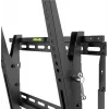 Wentronic Pro TILT (XL) 2,54 m (100 Zoll) Schwarz TV-Halterung 70 kg