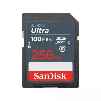 Flash-Speicher SanDisk 256 GB SDXC UHS-I Class 10 SDSDUNR-256G-GN3IN
