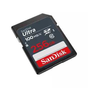Flash-Speicher SanDisk 256 GB SDXC UHS-I Class 10 SDSDUNR-256G-GN3IN