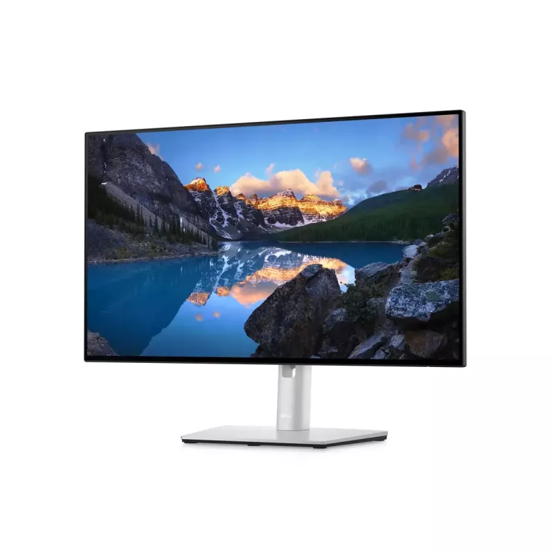 Monitor DELL UltraSharp 24 U2422H 23,8 Zoll Full HD LCD 1920x1080