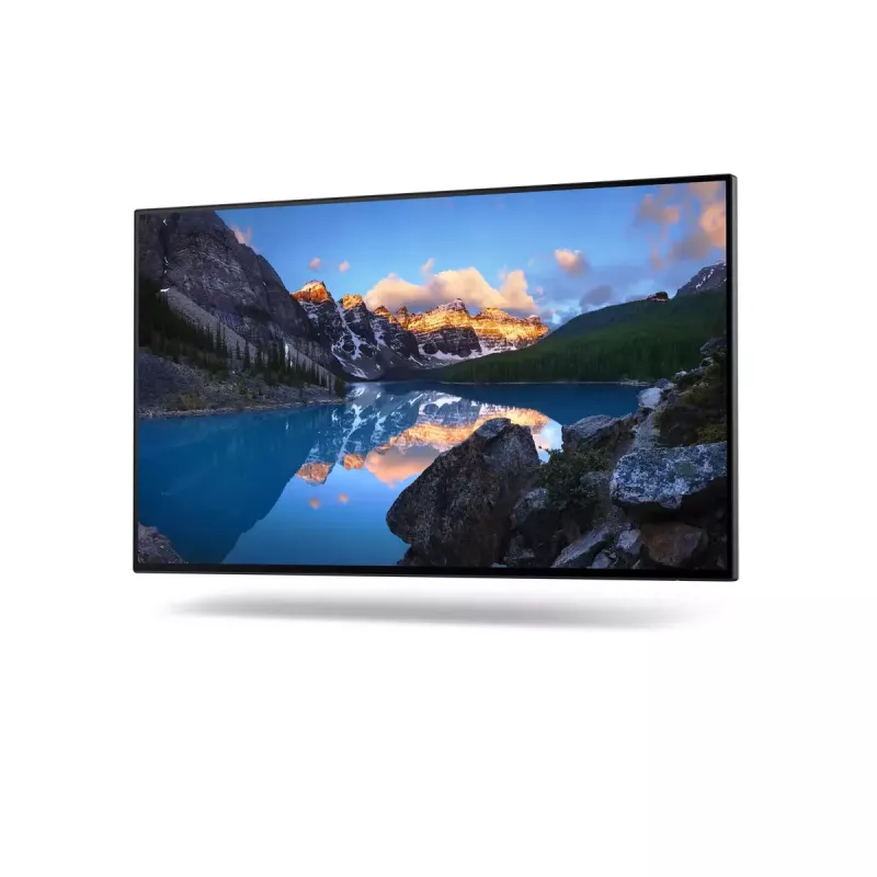 Monitor DELL UltraSharp 24 U2422H 23,8 Zoll Full HD LCD 1920x1080