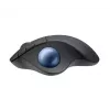 Maus Logitech ERGO M575 für Unternehmen RF Wireless + Bluetooth
