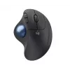 Maus Logitech ERGO M575 für Unternehmen RF Wireless + Bluetooth