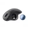 Maus Logitech ERGO M575 für Unternehmen RF Wireless + Bluetooth