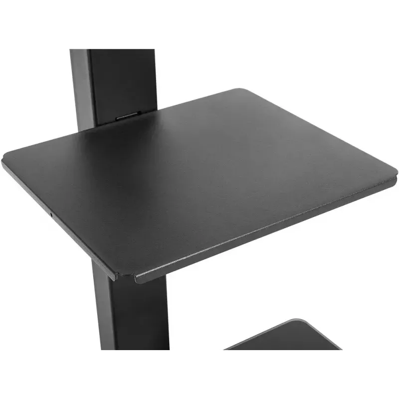 TV-Schrank Goobay 58526 Schwarz Stahl 1 Regalboden 650x400x1458 mm