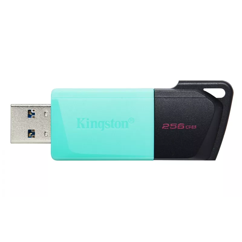 Kingston Technology DataTraveler 256GB USB3.2 Gen1 Exodia M (Schwarz + Türkis)