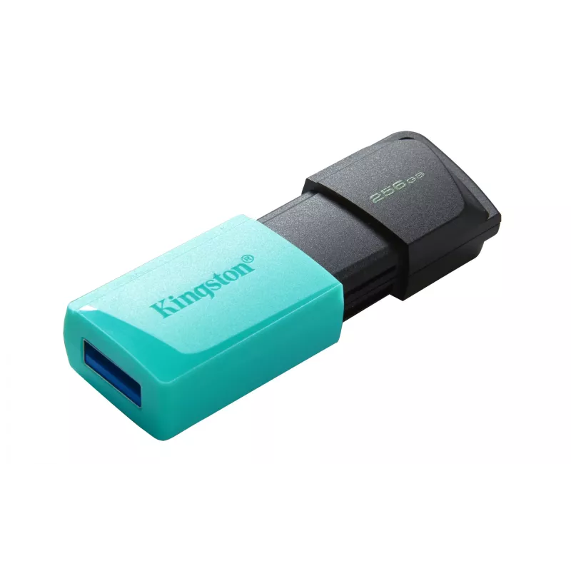 Kingston Technology DataTraveler 256GB USB3.2 Gen1 Exodia M (Schwarz + Türkis)