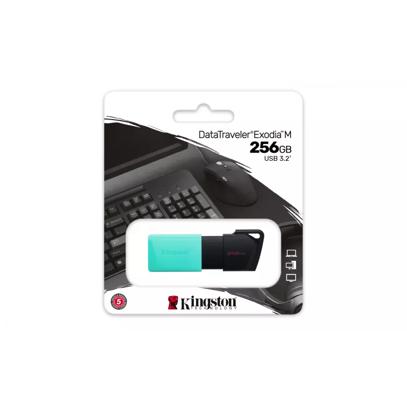 Kingston Technology DataTraveler 256GB USB3.2 Gen1 Exodia M (Schwarz + Türkis)