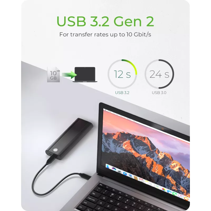 ICY Karton IB-1807MT-C31 SSD-Gehäuse Schwarz M.2