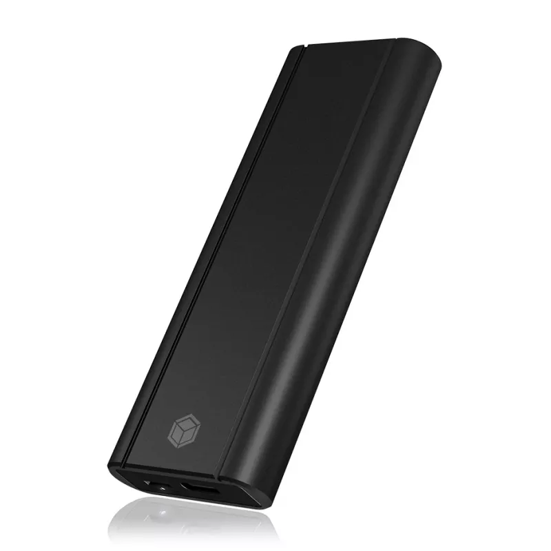 ICY Karton IB-1807MT-C31 SSD-Gehäuse Schwarz M.2