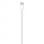 APPLE USB-c Ladekabel (1 m)