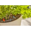 Tropfbewässerungssystem Gardena 13400-20 Schlauchlänge 15 m Schwarz Grün