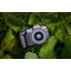 Canon EOS R8 + RF 24-50mm F4.5-6.3 IS STM Kit, 24.2 MP, 6000 x 4000 Pixel, CMOS, 4K Ultra HD, Touchscreen, Schwarz
