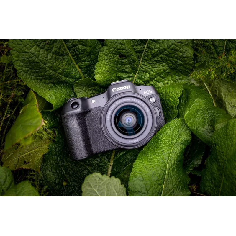 Canon EOS R8 + RF 24-50mm F4.5-6.3 IS STM Kit, 24.2 MP, 6000 x 4000 Pixel, CMOS, 4K Ultra HD, Touchscreen, Schwarz