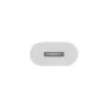 APPLE Lightning-Adapter – 24pin USB-c-Stecker auf Lightning-Buchse