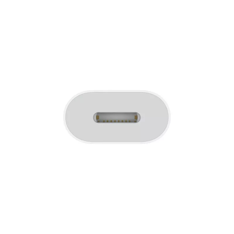 APPLE Lightning-Adapter – 24pin USB-c-Stecker auf Lightning-Buchse