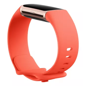 FITBIT Fitbit Charge 6 Obsidian / Black Aluminium