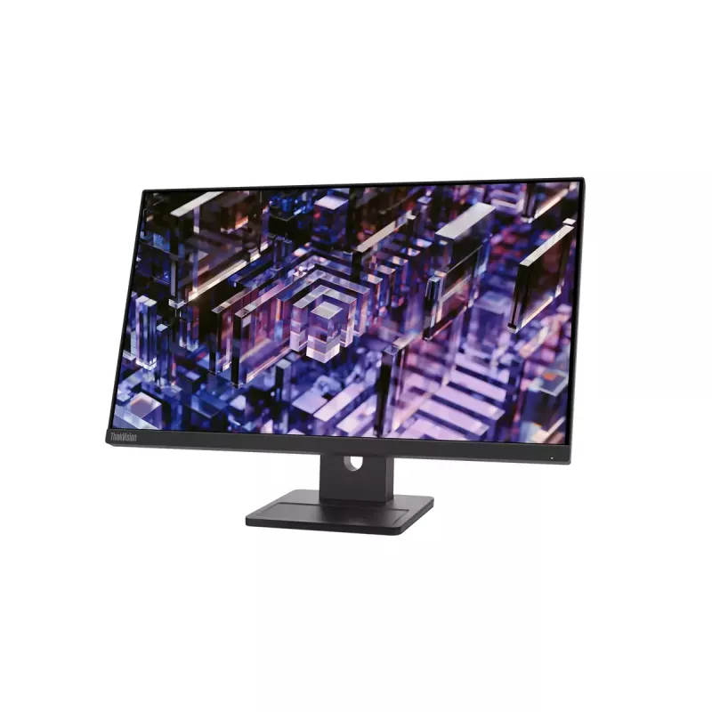 Monitor Lenovo ThinkVision E24q-30 23,8 Zoll 2K Ultra HD LED 2560 x 1440