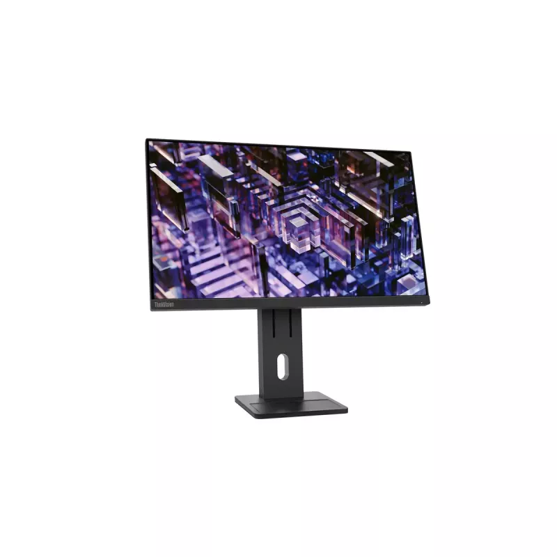 Monitor Lenovo ThinkVision E24q-30 23,8 Zoll 2K Ultra HD LED 2560 x 1440