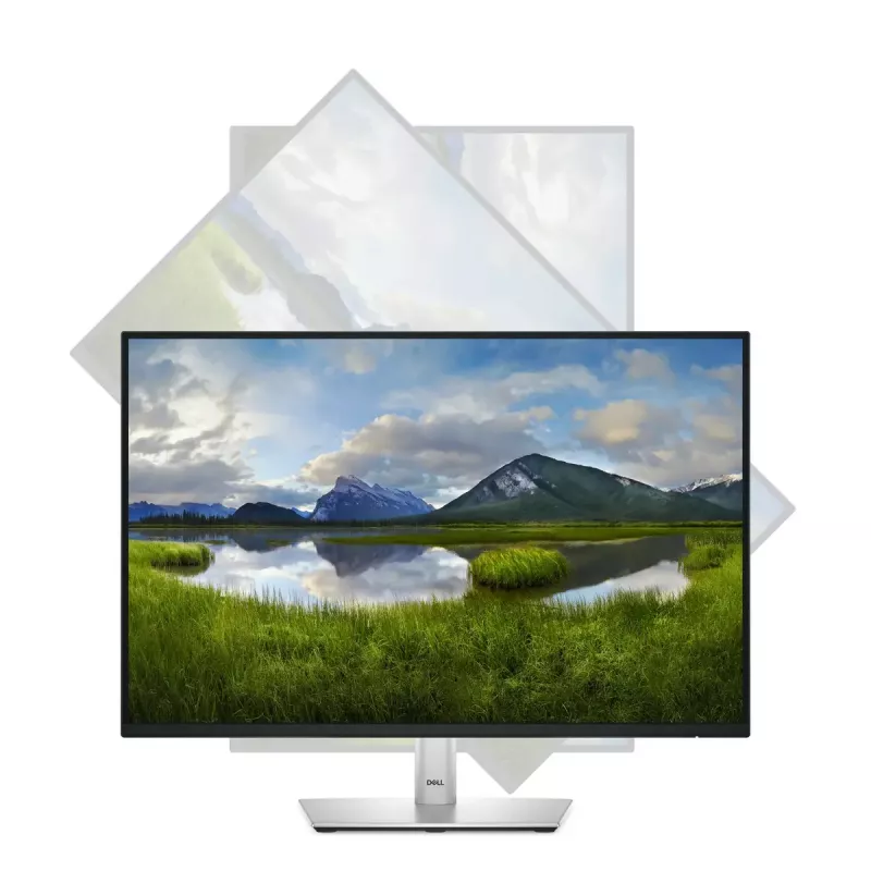 DELL Pro Plus P2425 Computermonitor 61,1 cm (24,1 Zoll) 1920 x 1200 Pixel WUXGA LCD Schwarz