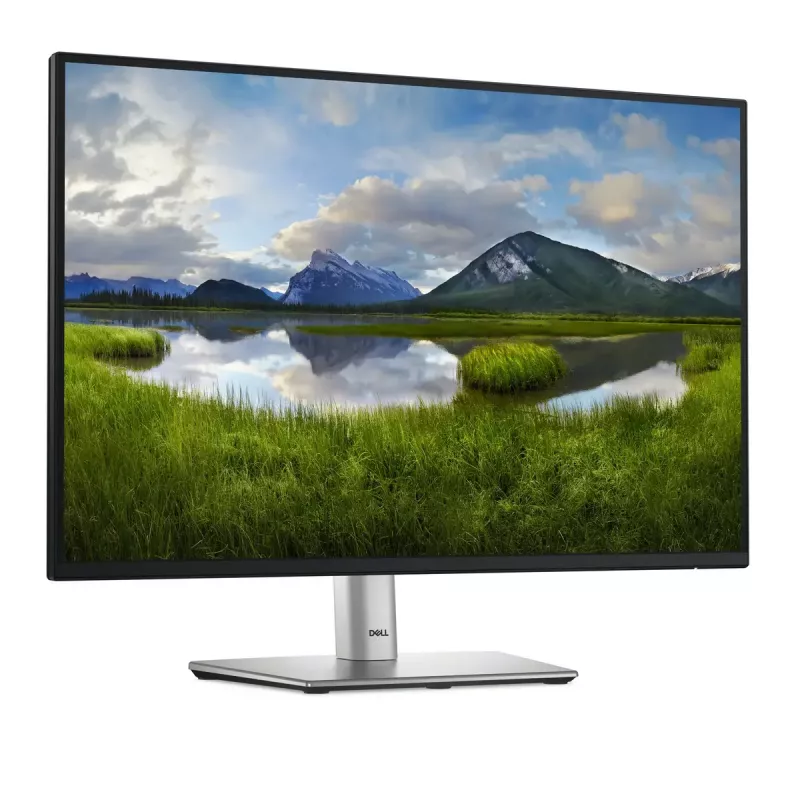 DELL Pro Plus P2425 Computermonitor 61,1 cm (24,1 Zoll) 1920 x 1200 Pixel WUXGA LCD Schwarz