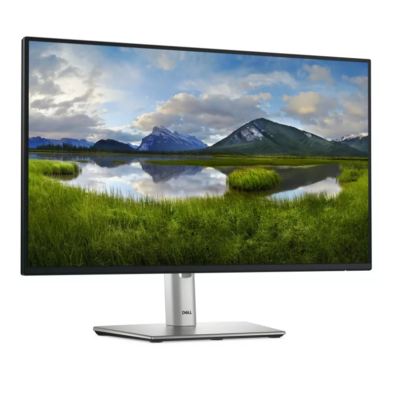 DELL Pro Plus P2425H Computer-Monitor 60,5 cm (23,8 Zoll) 1920 x 1080 Pixel Full HD LCD Schwarz