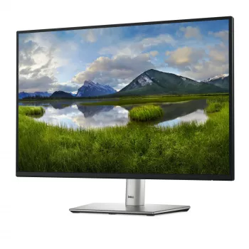 DELL Pro Plus P2425E Computer Monitor 61,1 cm (24,1 Zoll) 1920 x 1200 Pixel WUXGA LCD Schwarz