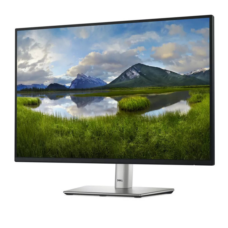 DELL Pro Plus P2425E Computer Monitor 61,1 cm (24,1 Zoll) 1920 x 1200 Pixel WUXGA LCD Schwarz