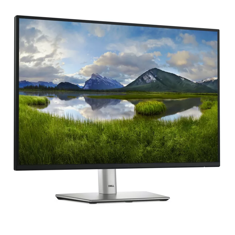 DELL Pro Plus P2425E Computer Monitor 61,1 cm (24,1 Zoll) 1920 x 1200 Pixel WUXGA LCD Schwarz