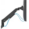 Neomounts Tisch-Monitorarm DS70-250BL2 Klemme/Durchführung 9 kg 17-32 Zoll