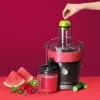 NutriBullet NBJ100G Entsafter 800 W Schwarz, Grau