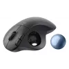 LOGITECH Ergo M575s Wireless Trackball - Graphite+blauer Ball