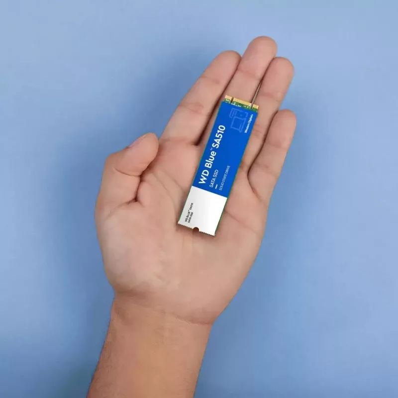 WESTERN DIGITAL SSD - WD Blau SA510 - 2TB - SATA 6Gb/s - M.2 2280