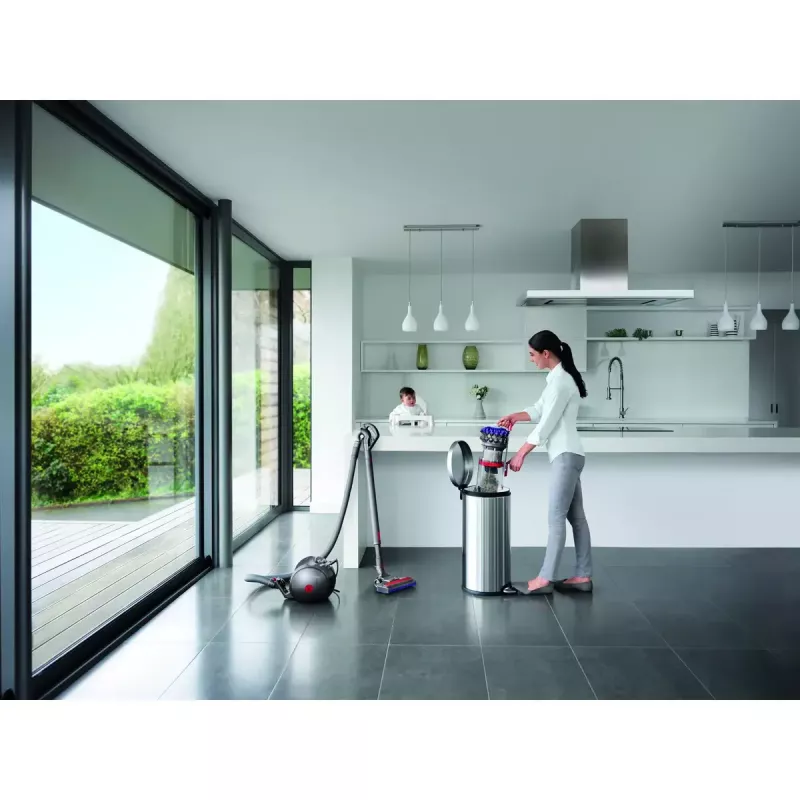 Bodenstaubsauger Dyson Big ball Parquet 2