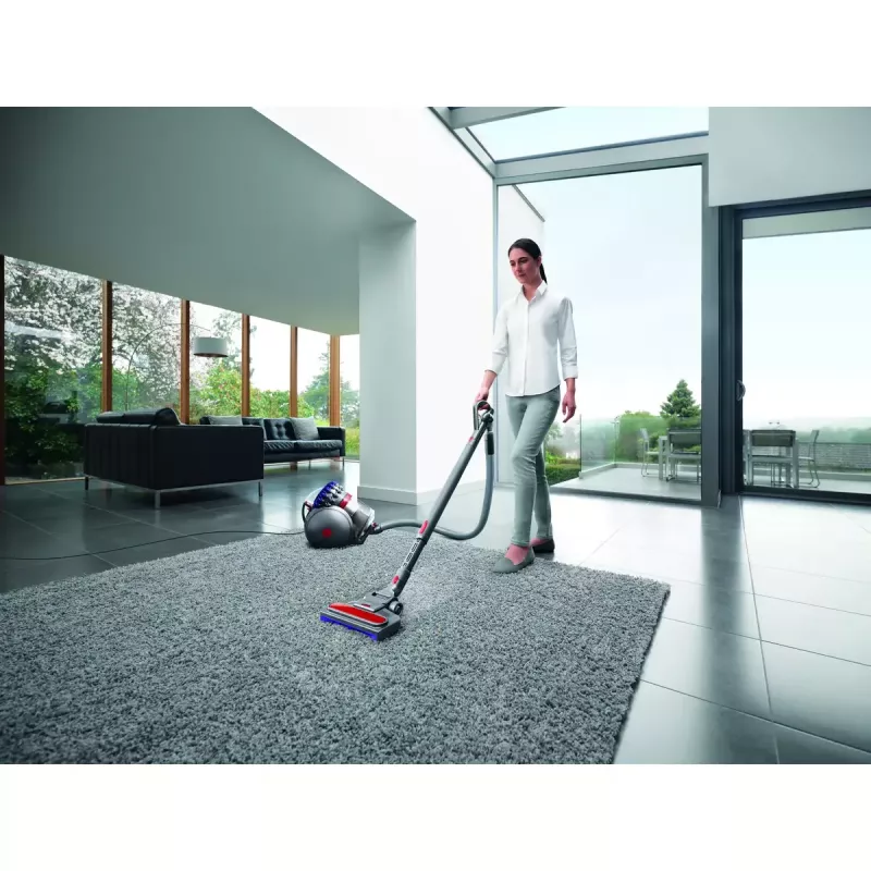 Bodenstaubsauger Dyson Big ball Parquet 2