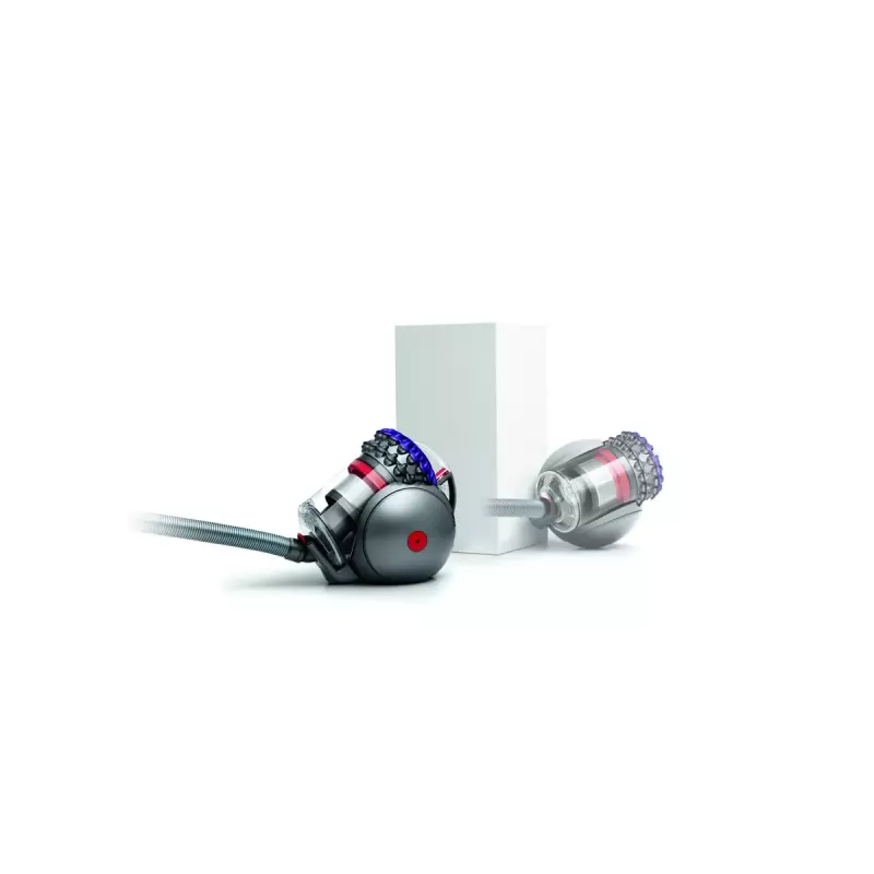 Bodenstaubsauger Dyson Big ball Parquet 2