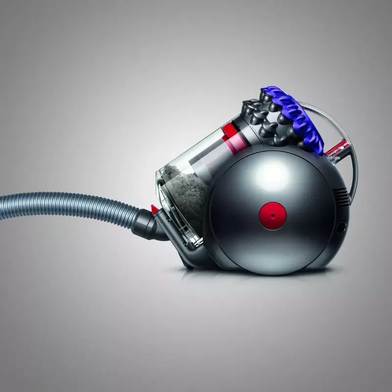 Bodenstaubsauger Dyson Big ball Parquet 2