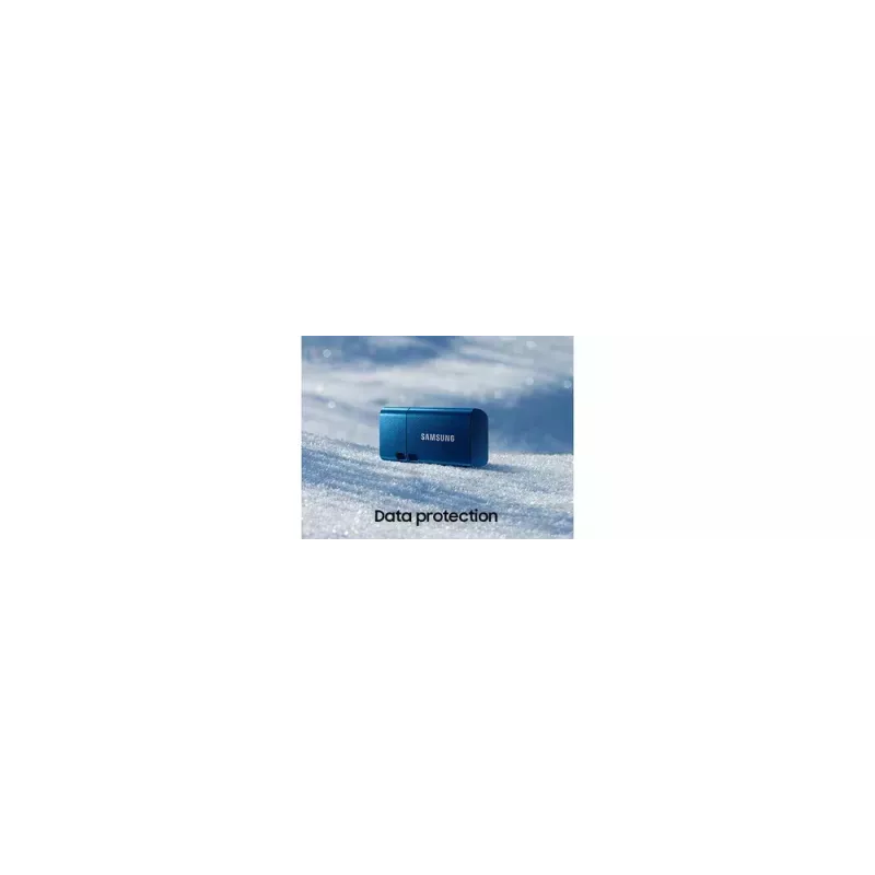 Samsung MUF-256DA USB-Stick 256 GB USB Typ-C 3.2 Gen 1 (3.1 Gen 1) Blau