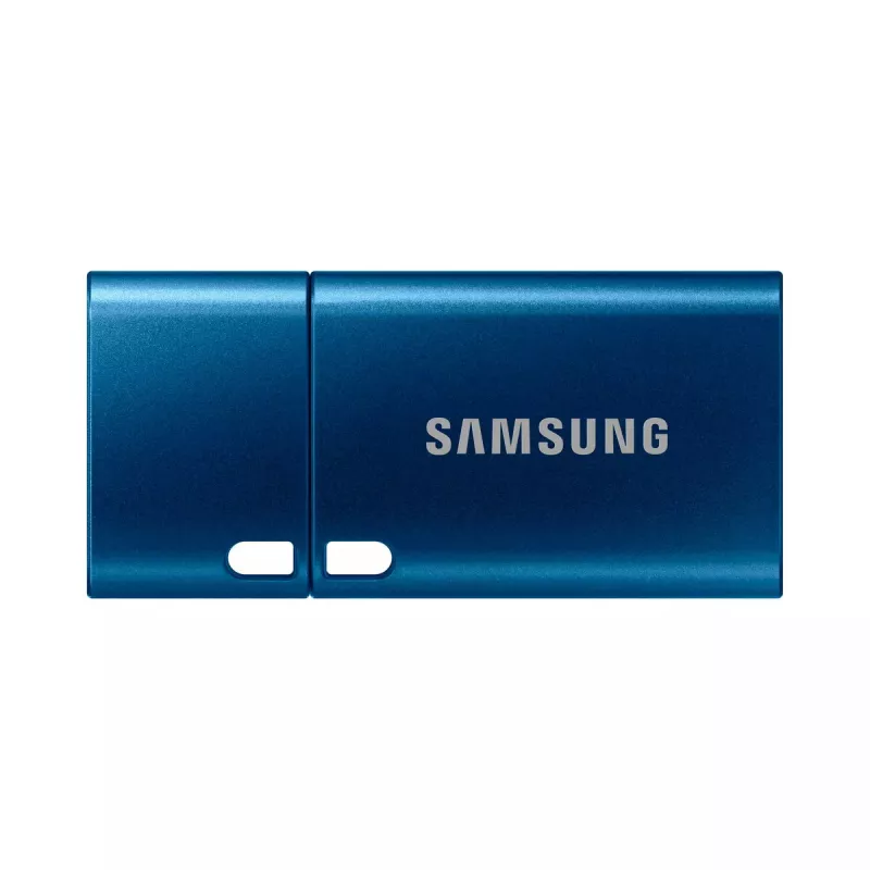 Samsung MUF-256DA USB-Stick 256 GB USB Typ-C 3.2 Gen 1 (3.1 Gen 1) Blau