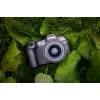 Canon EOS R8, 24,2 MP, 6000 x 4000 Pixel, CMOS, 4K Ultra HD, Touchscreen, Schwarz