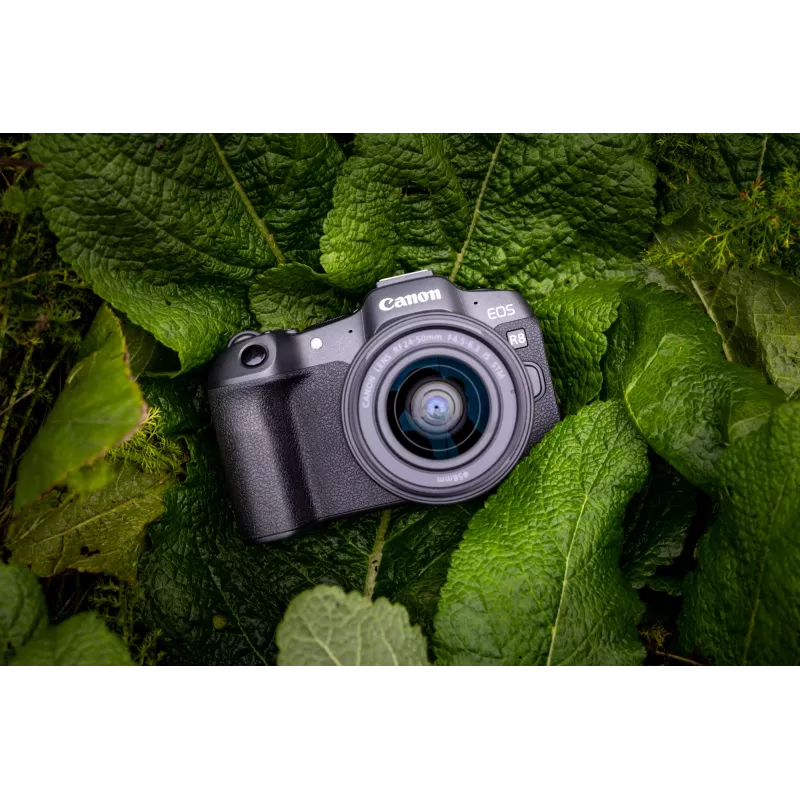 Canon EOS R8, 24,2 MP, 6000 x 4000 Pixel, CMOS, 4K Ultra HD, Touchscreen, Schwarz