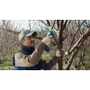 Bosch Pro Pruner Professional kabellose Grasschere 2,5 cm 12 V Lithium-Ionen (Li-Ion) Blau