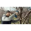 Bosch Pro Pruner Professional kabellose Grasschere 2,5 cm 12 V Lithium-Ionen (Li-Ion) Blau